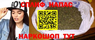 СК Балашиха