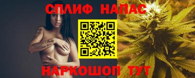 СК Балашиха