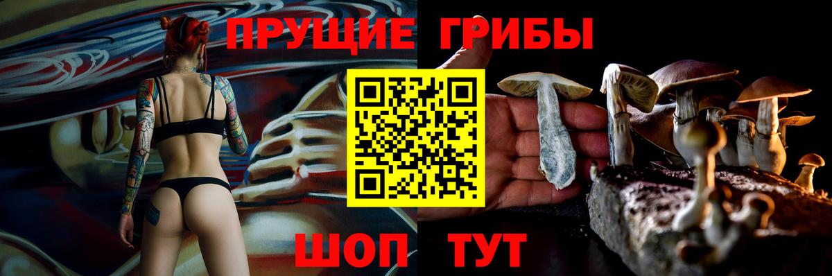 закладки  Вход с VPN  Губкин  Галлюциногенные грибы Magic Shrooms 