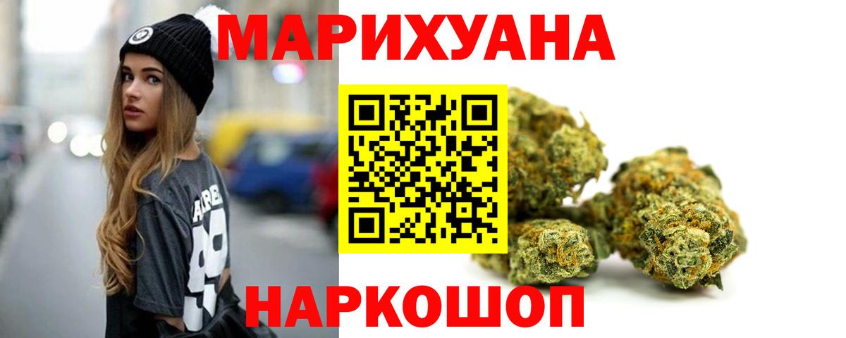 Каннабис планчик Губкин